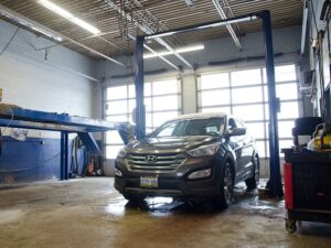 Green Car Certifications: Understanding Eco-Friendly Car Standards