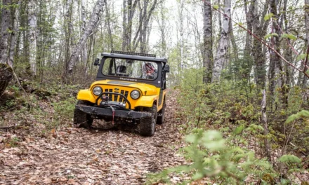Mahindra Parts and Accessories Worth Buying First